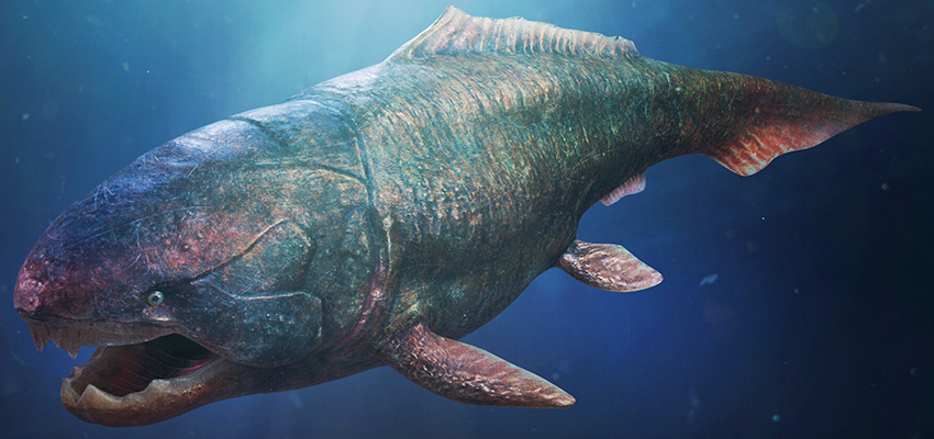 Dunkleosteus prehistoric fish