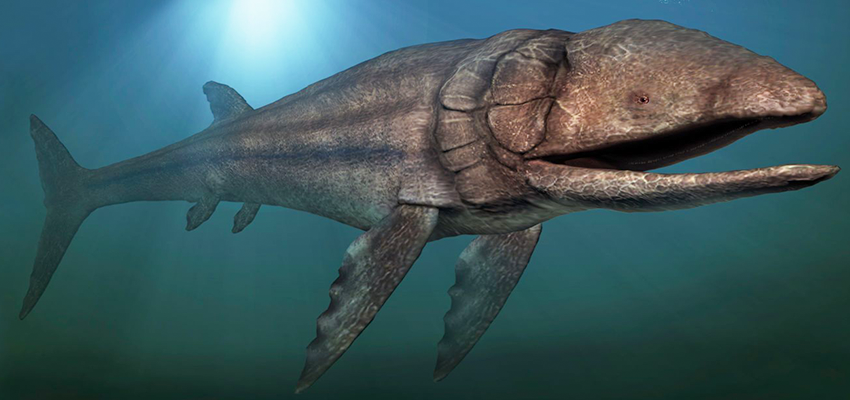  Leedsichthys prehistoric fish