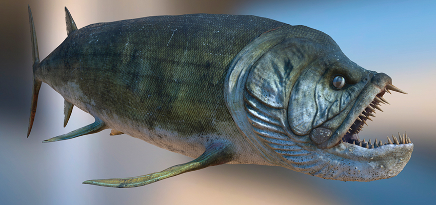 Prehistoric Fishe Xiphactinus