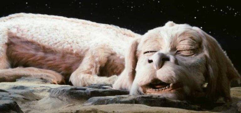 Falkor The Neverending Story Facts Story And Character Analysis Pagista 