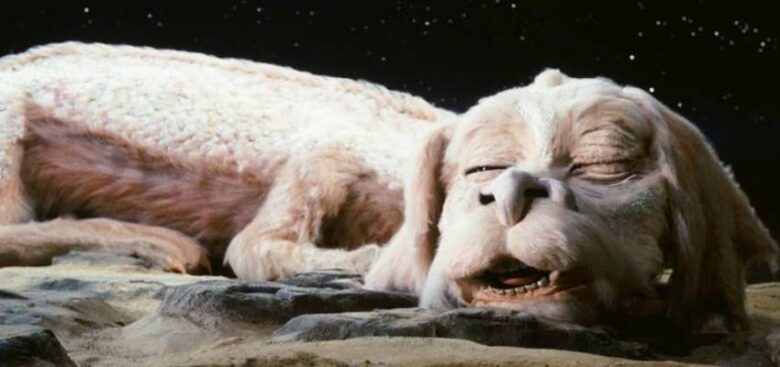 Falkor The Neverending Story Facts Story And Character Analysis Pagista 2619